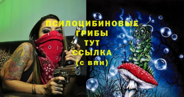 молекула духа Алзамай
