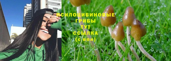 круглые Алексин