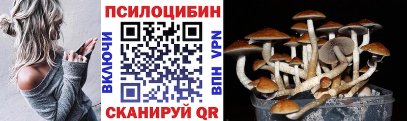 Галлюциногенные грибы Psilocybine cubensis  Белорецк 