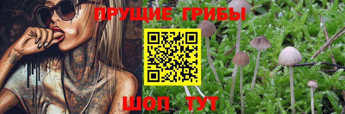 цена   Галлюциногенные грибы Cubensis  Вход с VPN  Белорецк  Псилоцибиновые грибы мицелий 