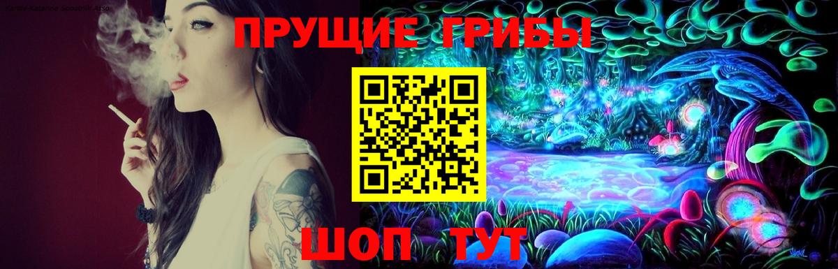Галлюциногенные грибы Cubensis Белорецк